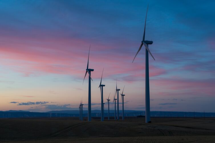 Carbon Credits Management